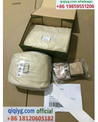 Qiqi Fashion qiqiyg.com Distributore Ufficiale Foto di Spedizione QF264