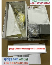 Qiqi Fashion qiqiyg.com Distributore Ufficiale Foto di Spedizione QF289